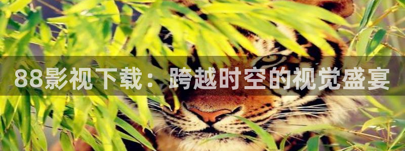 琪琪午夜倫理影院的播出平臺：88影視下載：跨越時空的視覺盛宴
